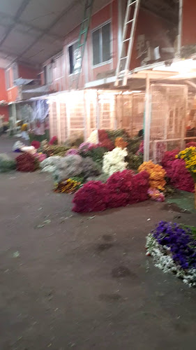 Comentarios y opiniones de Mercado De Flores Y Plantas