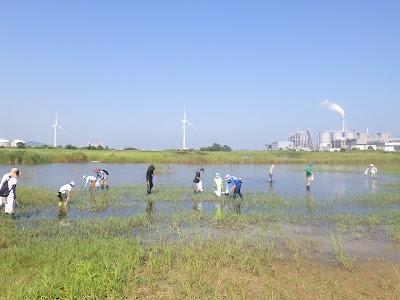 響灘ビオトープ
