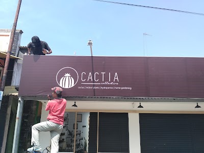 Photos of Cactia