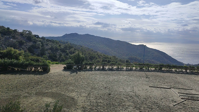 Ιππικός Όμιλος Σαλαμίνας