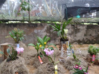 Photos of Parque Municipal "Coburgo" Fusagasug&aacute;