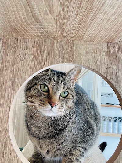 Cat Hotel Wish貝塚店