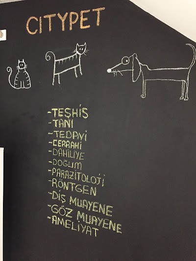 Photos of City Pet