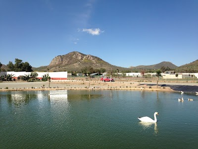 Photos of Tuzoofari