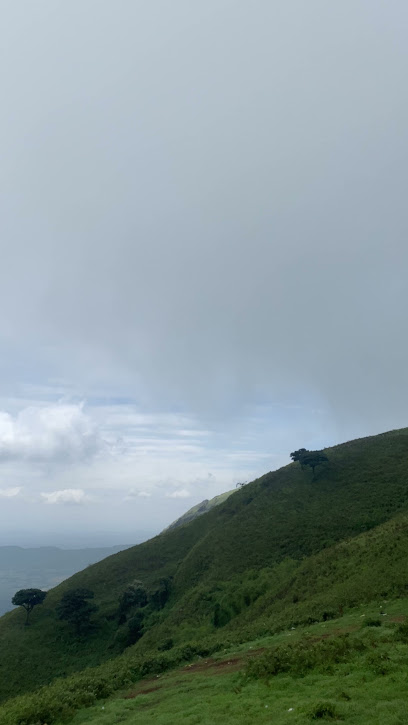 Chikmagalur travel