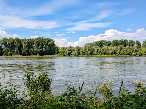 Schwetzinger Wiesen - Thumbnail