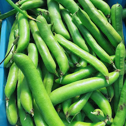 Photo n°7 de Jardin des Falaises à Saint-Valery-en-Caux (Ferme)