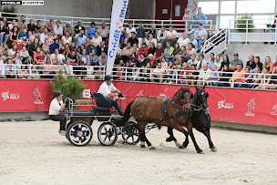 Photo n°5 de Normandie Horse Show à Saint-Lô (Terrain de sport)