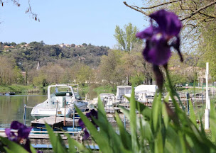 Photo n°24 de Camping Municipal de Charmes sur Rhône à Charmes-sur-Rhône (Terrain de camping)