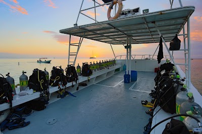 Photos of TGI Diving Roatan Henry Morgan