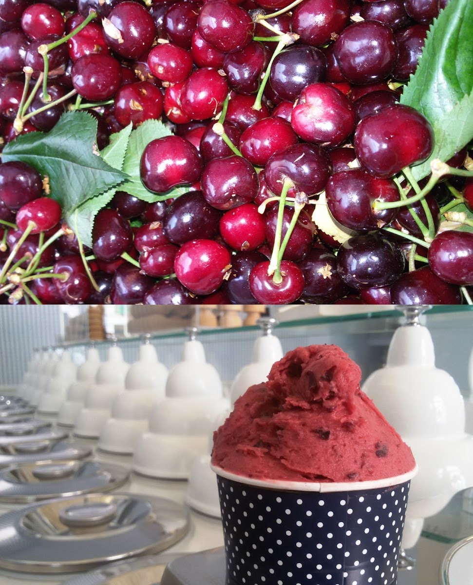 Gelateria Frescolatte — photo 8