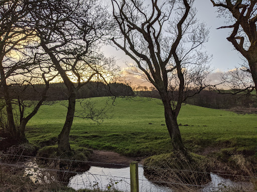 Glenrig Farm - Thumbnail