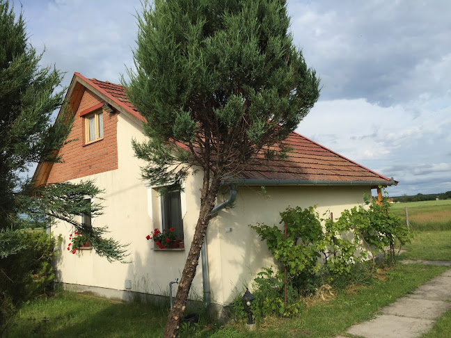 Diós Tanya Békés - Bolt