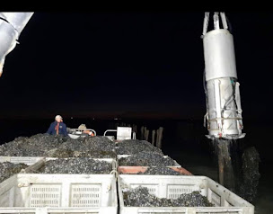 Photo n°21 de À la Pêche aux Moules Saint-Georges-de-Didonne à Saint-Georges-de-Didonne (Restaurant)