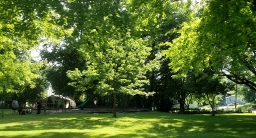Dement Park - Visual