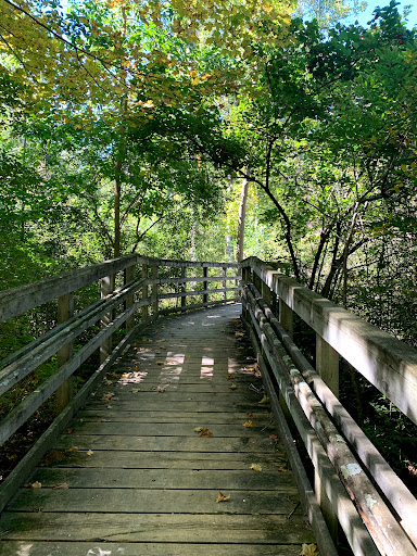 Tulip Tree Trail