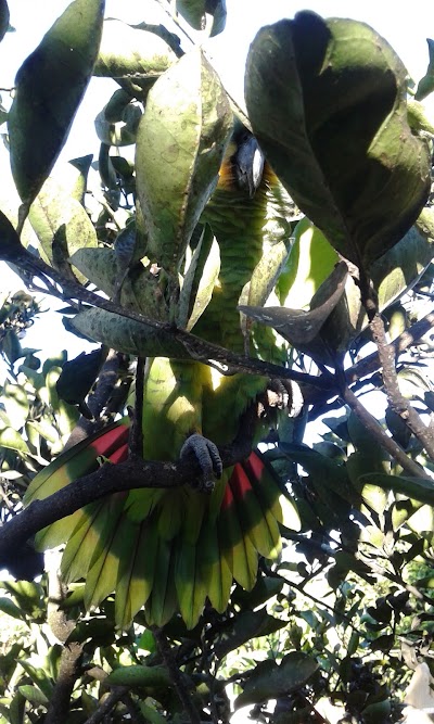 Photos of LA ESTANCIA - CASA DE COMIDAS