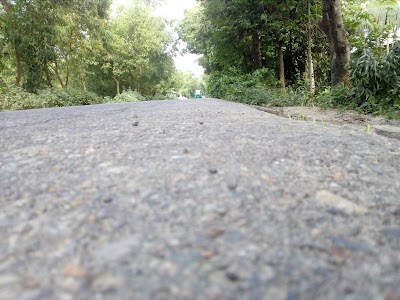 Photos of বিয়ালা vip দোকান