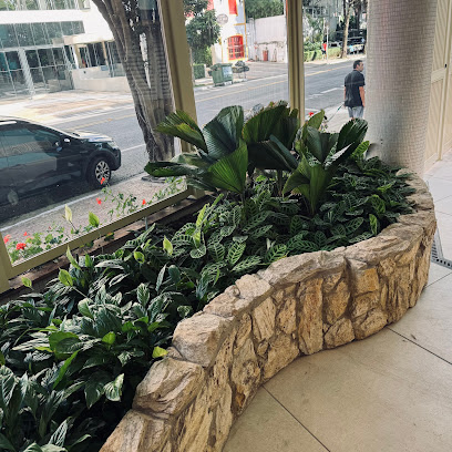 Alpha Soluções Jardinagem e Paisagismo em São Paulo, Itapevi e Região - Manutenção de Jardins - Áreas Verdes - Piscinas