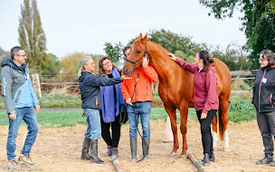 Photo n°3 de H2C Carrières | Cabinet de recrutement sur Caen à Sallenelles (Centre de formation)