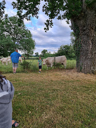 Photo n°50 de Camping Domaine La Terrasse à Trézelles (Terrain de camping)