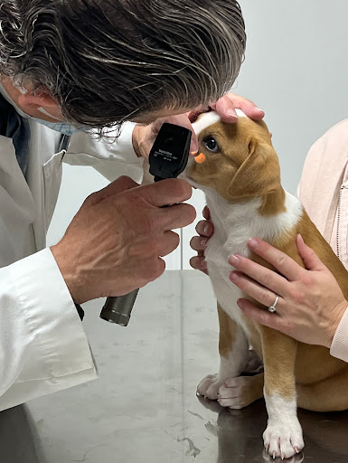 Associated Animal Clinic of Indiana Inc - Larry Reyman,DVM - Thumbnail