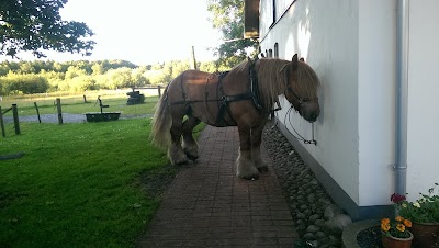 Photos of Bylderup-Bov B&B