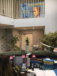 Photo n°2 de Docteur Marc Benhacoun à Paris (Dentiste)