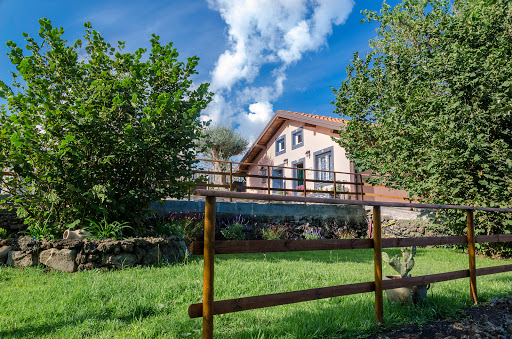 Etna Holidays - Visual