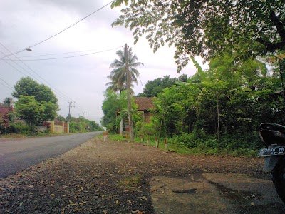 Photos of Widi Ganti Oli Mangli