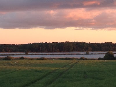 Photos of Vītoliņi - Digital detox