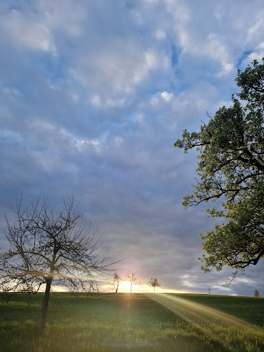 Heupelzen - Thumbnail