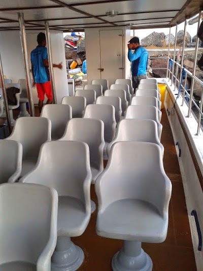 Photos of Whales Live Tours