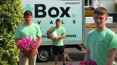 MintBox Removals