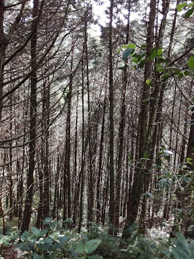 Photos of Entrada Pico Blanco