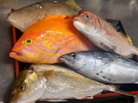 鮪と鮮魚と日本酒 百薬