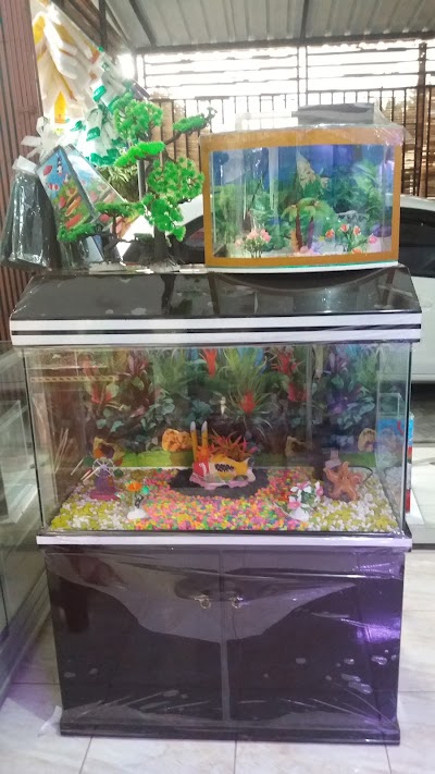 Photos of Pasaman Aquarium