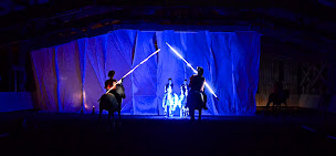 Photo n°26 de LES PONEYS D'EOLE à Cornas (Centre équestre)