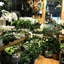 Photo n°5 de Rue des Fleurs - fleuriste à Nancy à Nancy (Prestataire de mariage)
