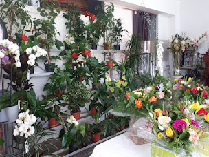 Photo n°1 de Monica Fleurs à Aléria (Entreprise de pompes funèbres)