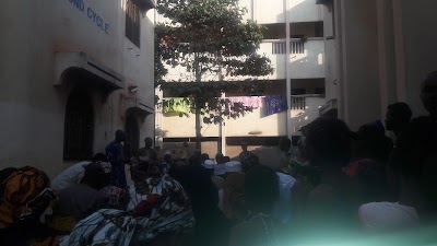 Photos of Tara Mercerie