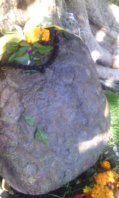 Photos of Uttarbahini Kshetra
