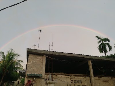 Photos of Tua Kampung Tembesi
