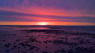 Photo n°14 de Sarl GB à Île-d'Aix (Paysagiste)
