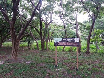 Photos of Polideportivo Ca&ntilde;as