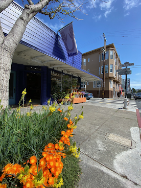 The Mellow Mission by null