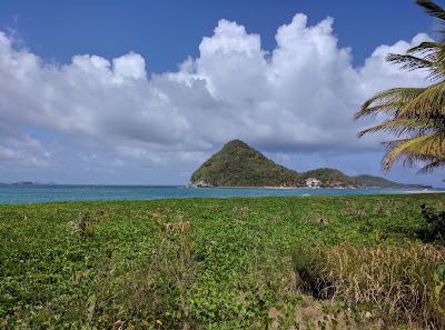 Photos of Levera National Park