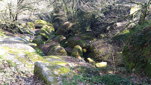 Photo n°11 de OuesTyBus à Tourch (Compagnie d'autobus)