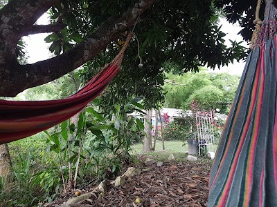 Photos of Mirador Hostel