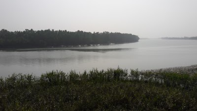 Photos of সুন্দরবনের ছোয়া ভ্যারাইটিজ স্টোর